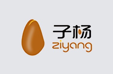 子杨建筑打造全新自适应官网
